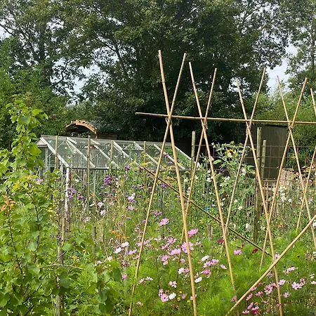 בקתה De Verborgen Pracht סכאחן