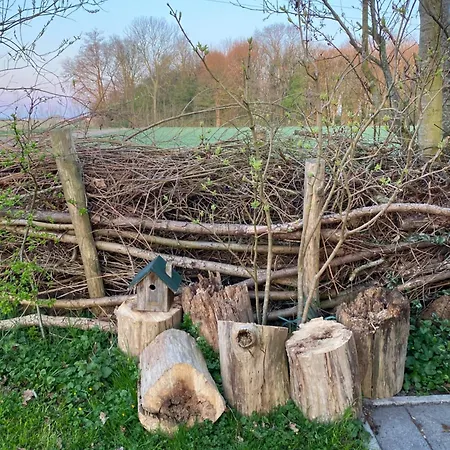 De Verborgen Pracht *