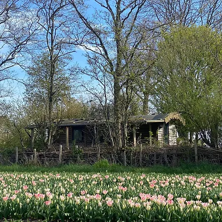 De Verborgen Pracht Chalet