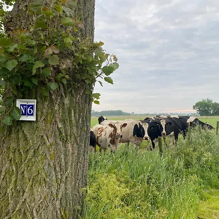 シャレー De Verborgen Pracht