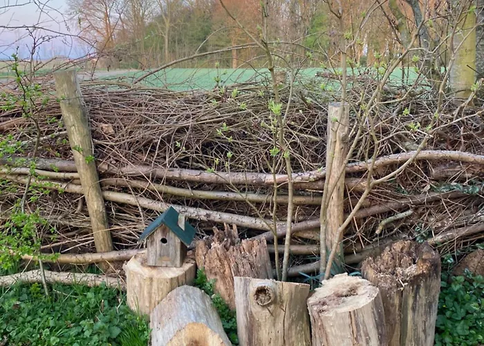 De Verborgen Pracht *