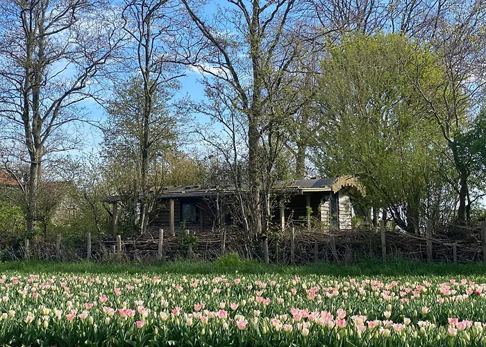 De Verborgen Pracht Chalet