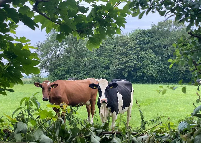 Chalet De Verborgen Pracht *