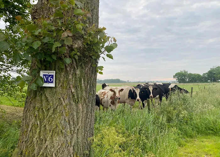 Chalet De Verborgen Pracht