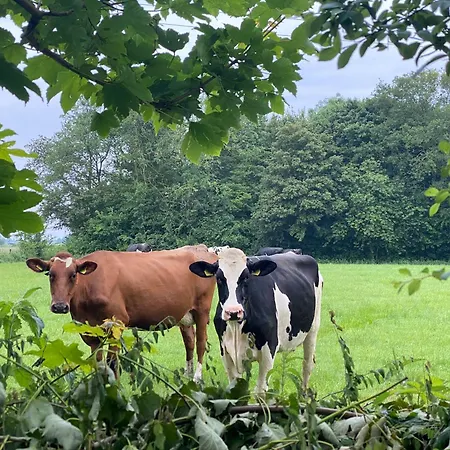 Chalé De Verborgen Pracht *